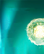 e4de8a9459ce5a1563707b4124493cea